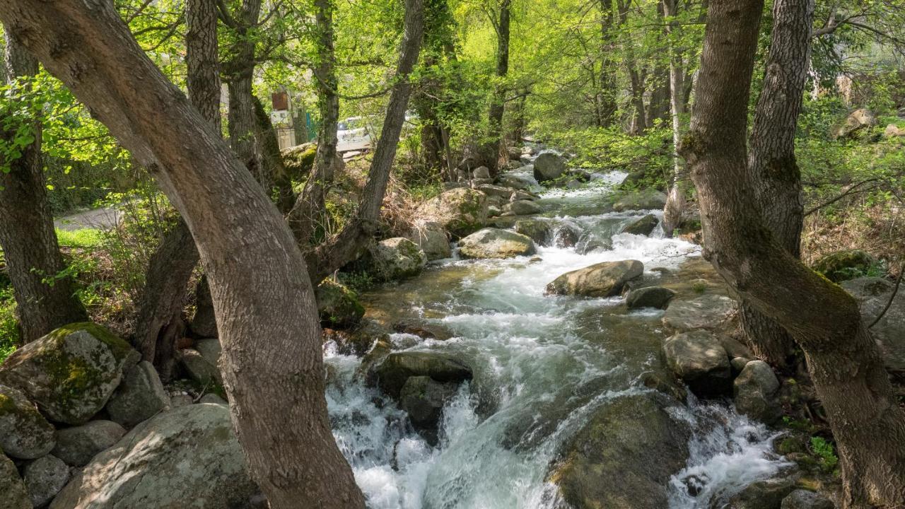 Apartamentos Turisticos Huerto El Horno Torremenga Екстер'єр фото
